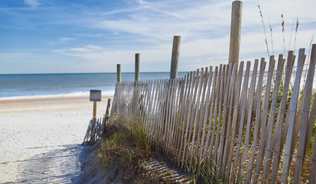 Dune Fence on the Beach
