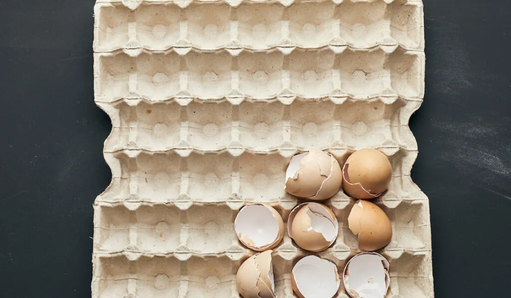 Eggshell in a paper tray on a black wooden table 