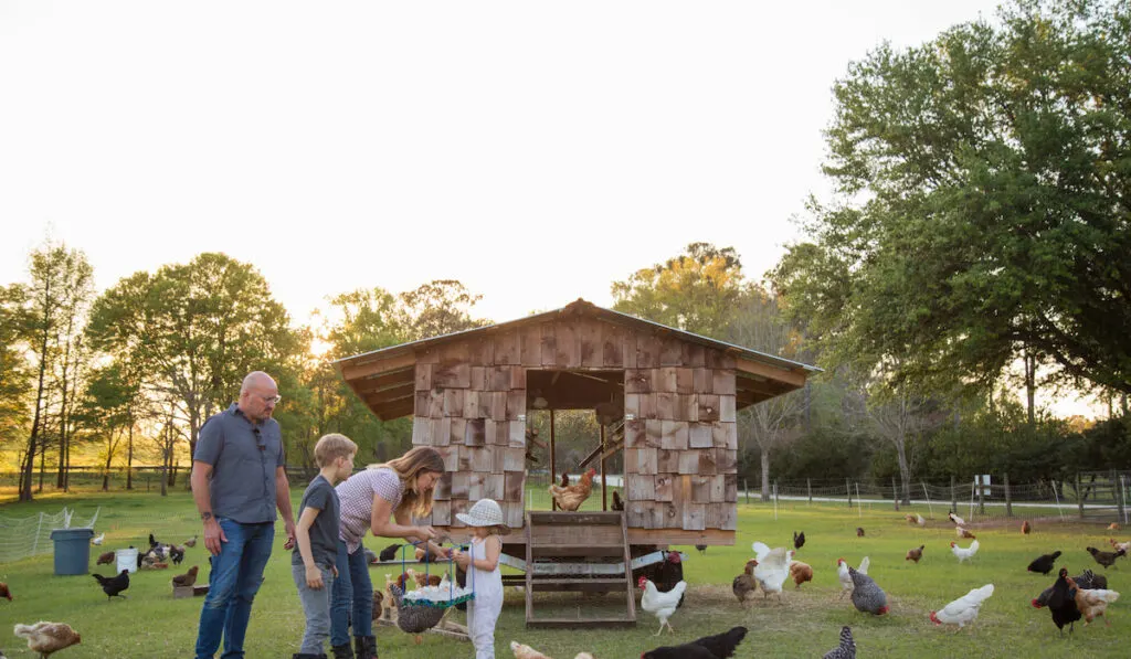 Family on the farm, surrounded by chickens