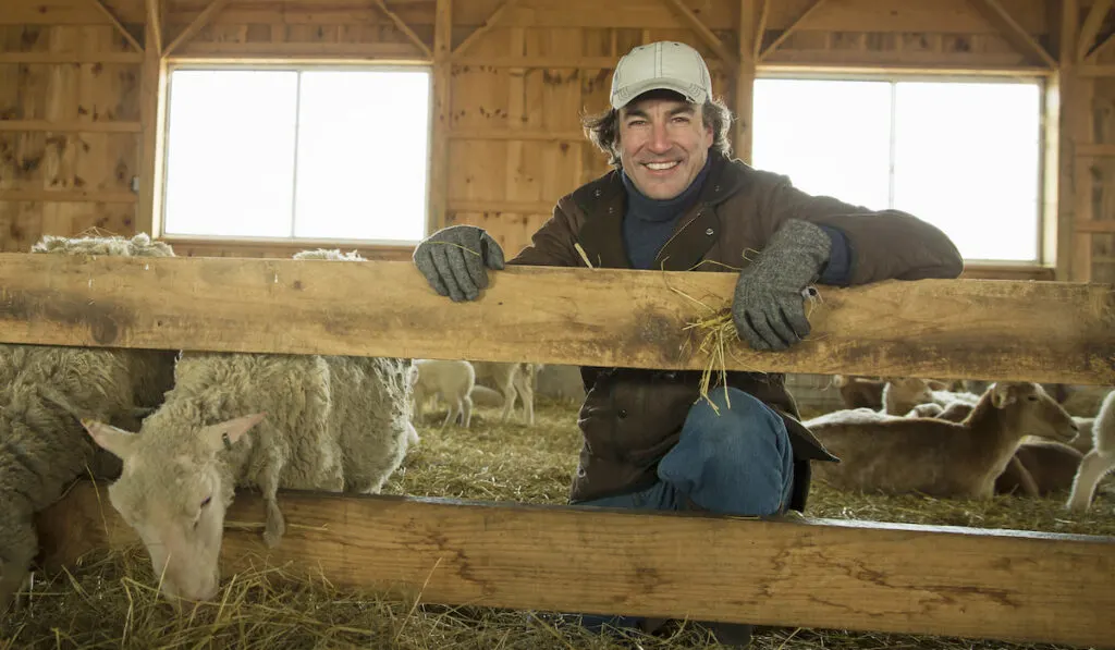 Farmer and sheep in a pen