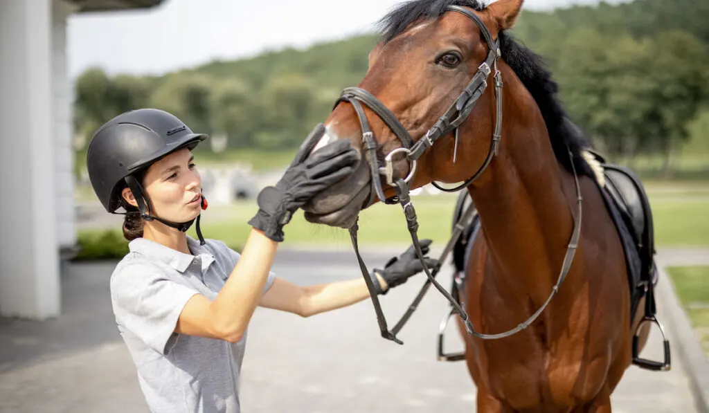 Female horseman with Thoroughbred horse in stable