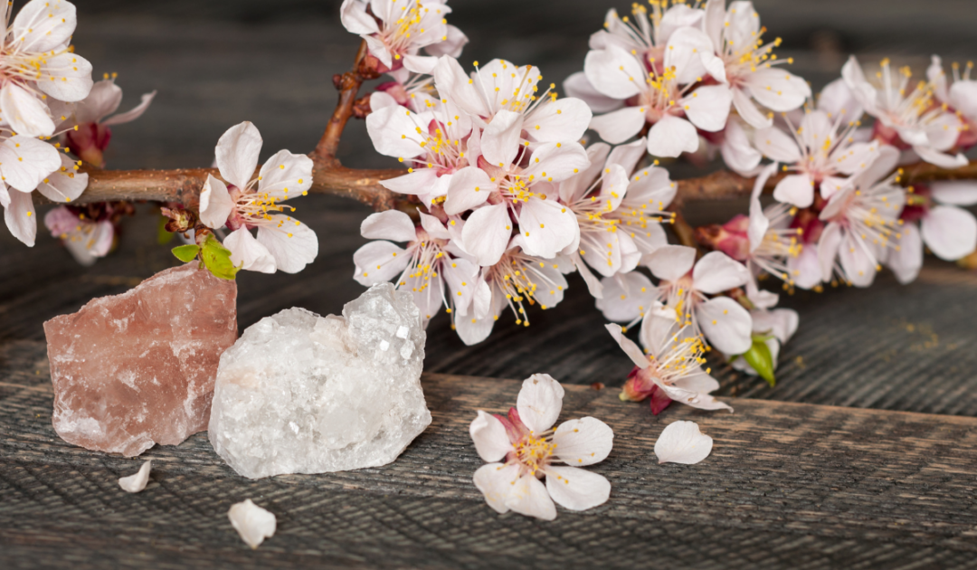 Do I Own The Mineral Rights To My Property? Farmhouse Guide