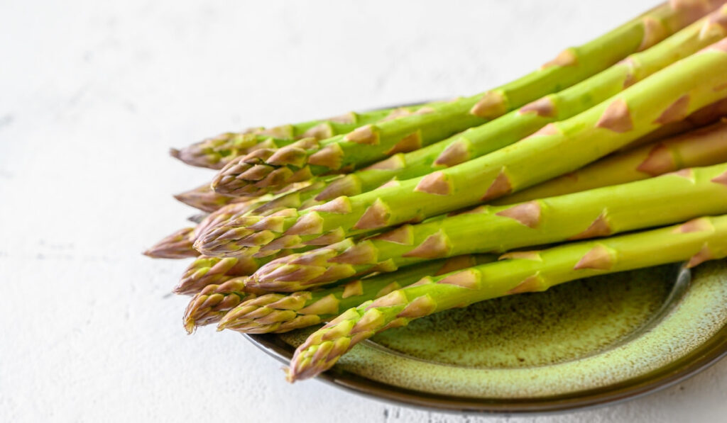 Fresh asparagus in green plate on white background