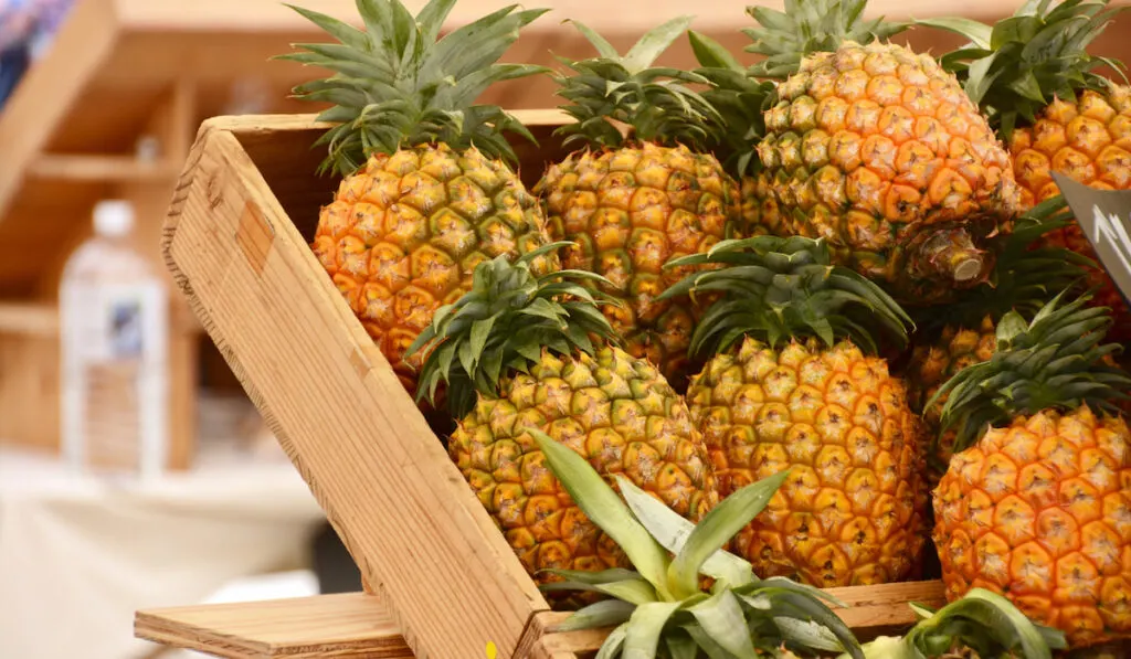 Fresh pineapples in wooden box 
