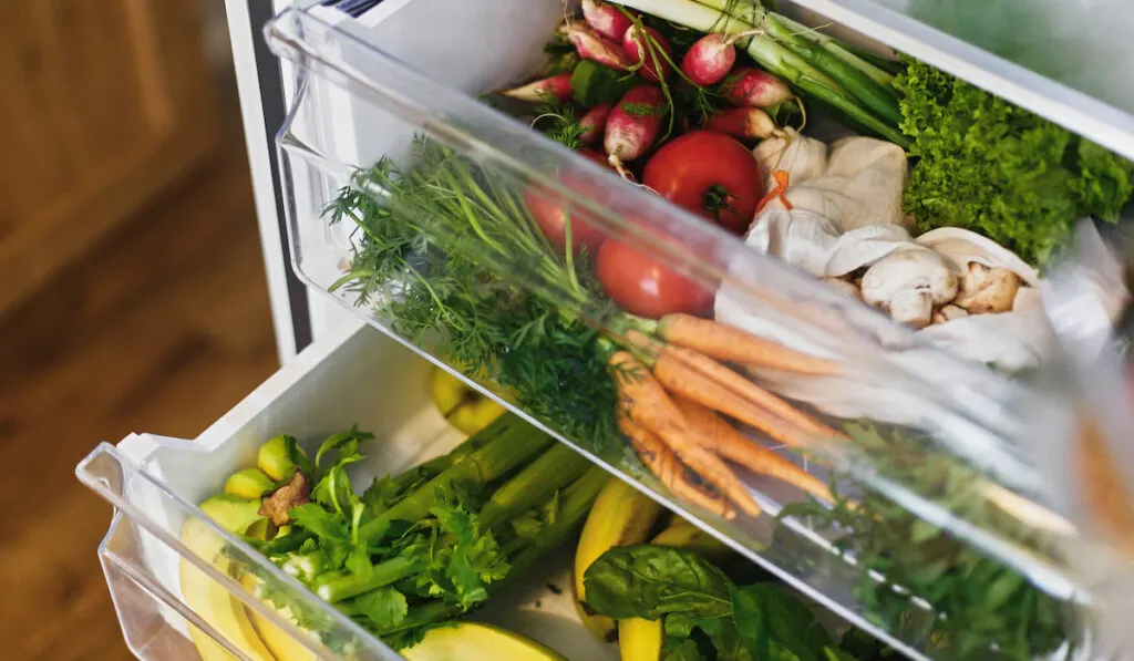 Fresh vegetables in opened drawer in refrigerator 