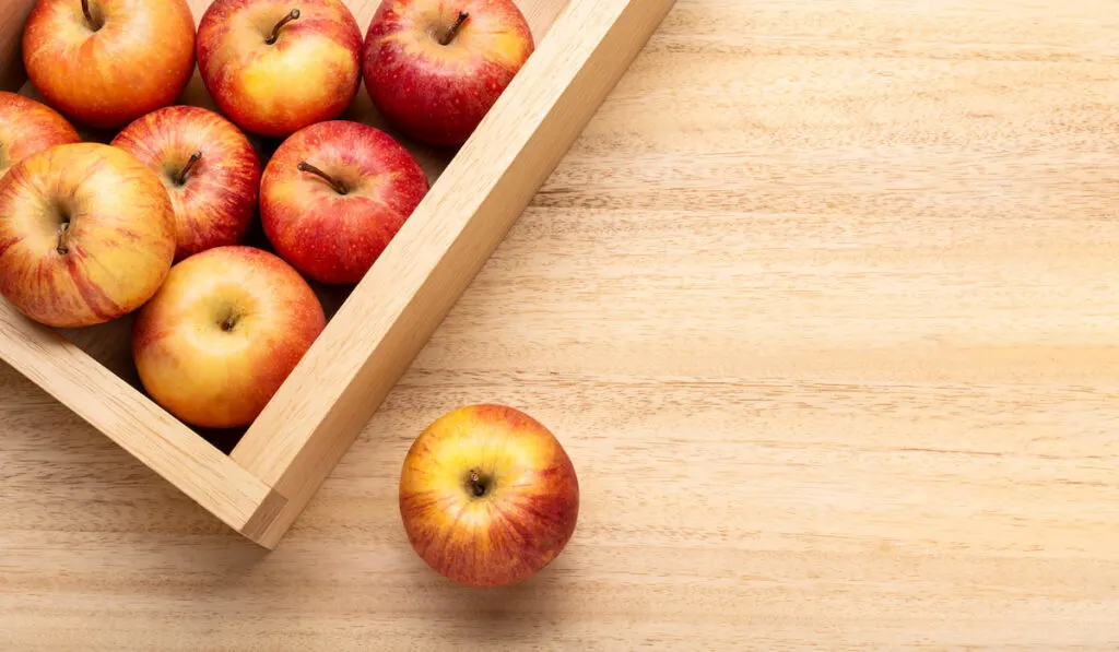 Fuji Apples in crate on wooden table