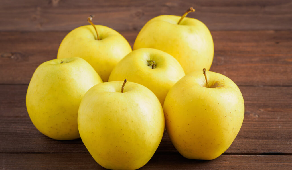 Golden Delicious. Juicy ripe fresh yellow apples on a brown wooden background 