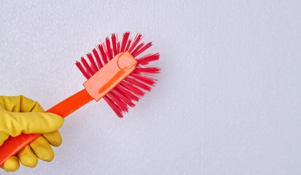 Hand holding toilet brush on white background