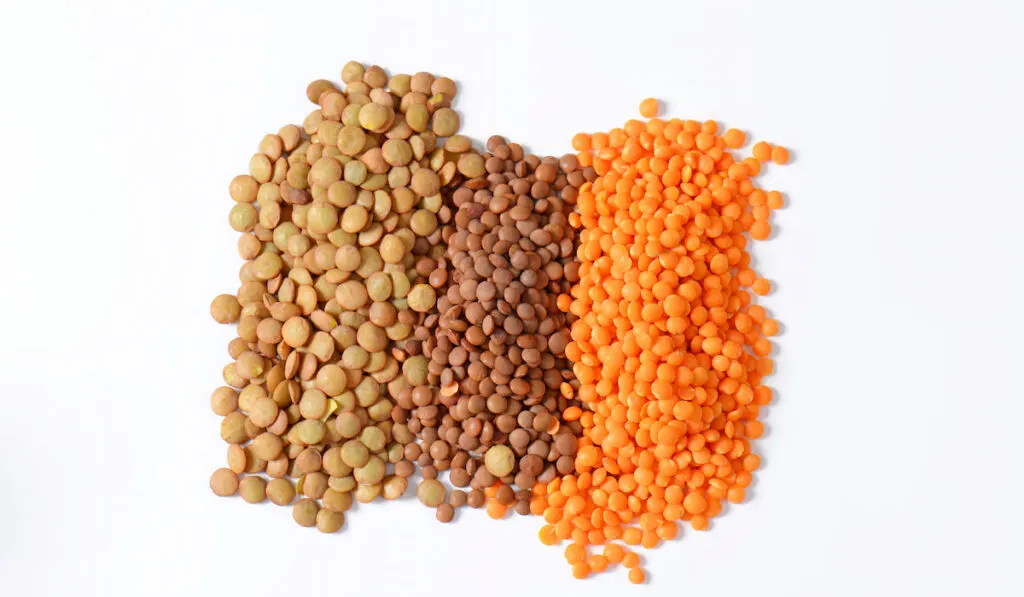 Heap of lentils on white background