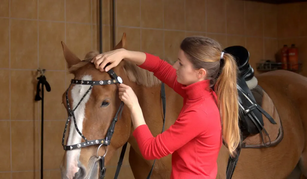 Horse rider preparing horse for horse riding