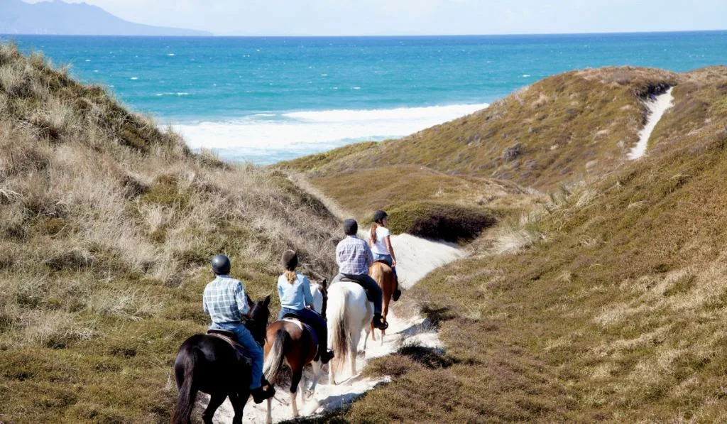 Horse riders heading down