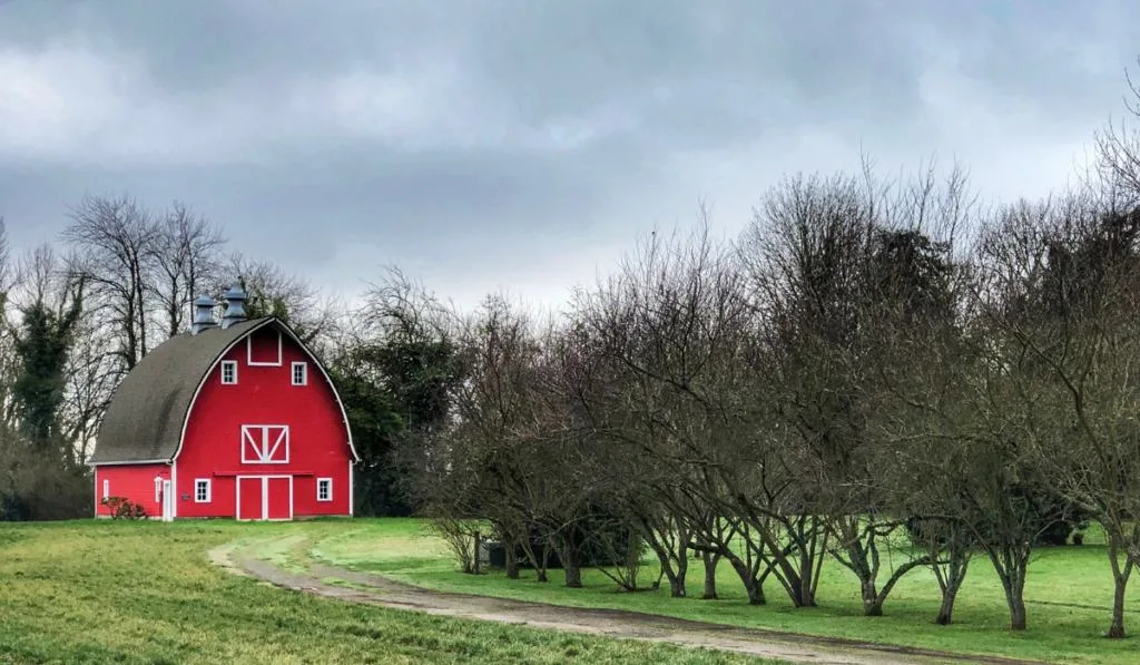 red barn on the fields