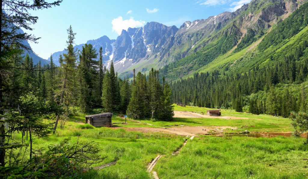 Log Huts of Mineral Baths in Meadow