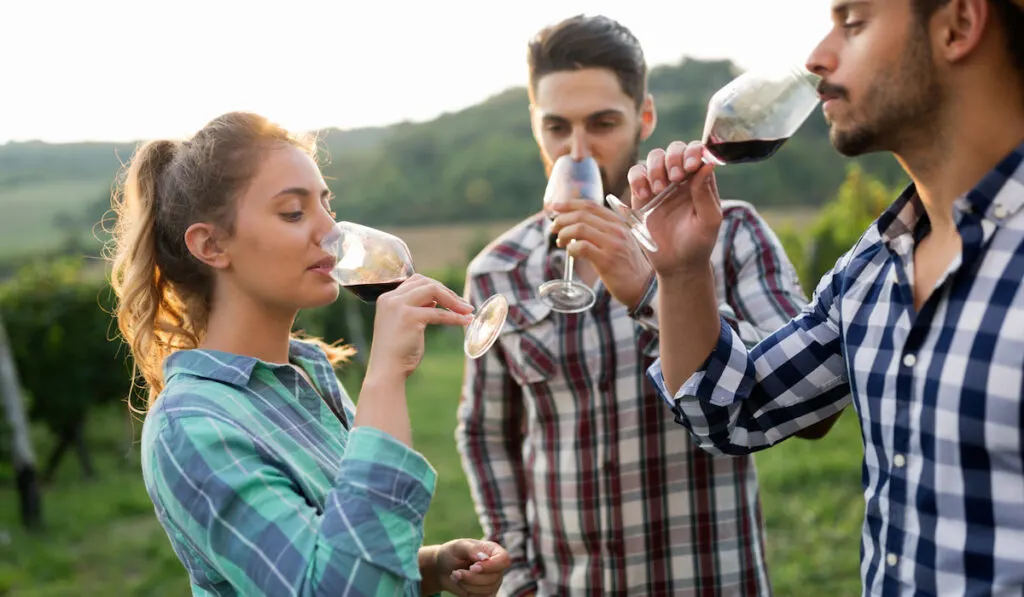 People tasting wine in vineyard