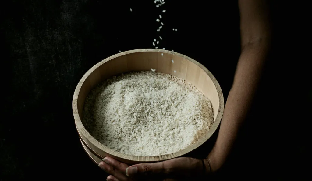 Plain rice in a typical Japanese wooden tub