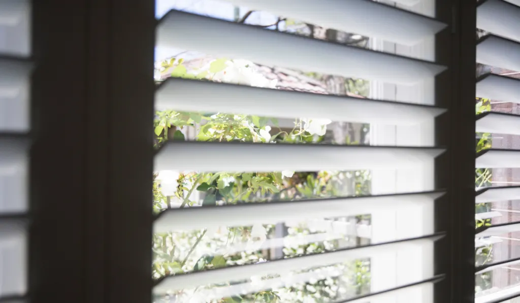 White plantation shutters blinds in a bedroom