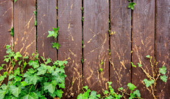 Can Goats Eat Poison Ivy? - Farmhouse Guide