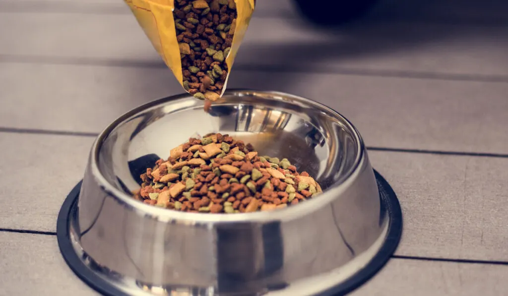 Pouring-pet-food-into-a-bowl