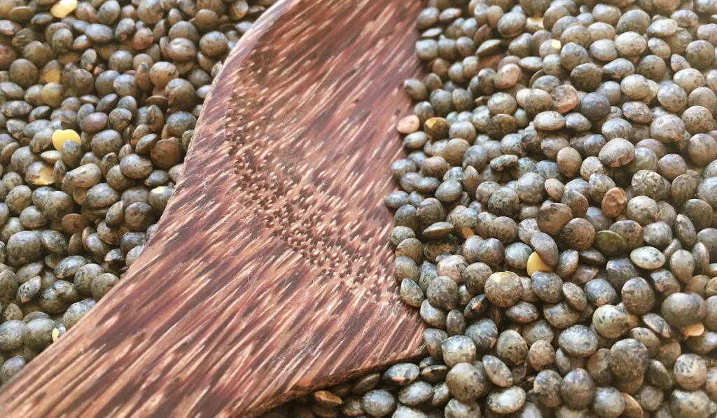 Puy Lentils and wooden spoon