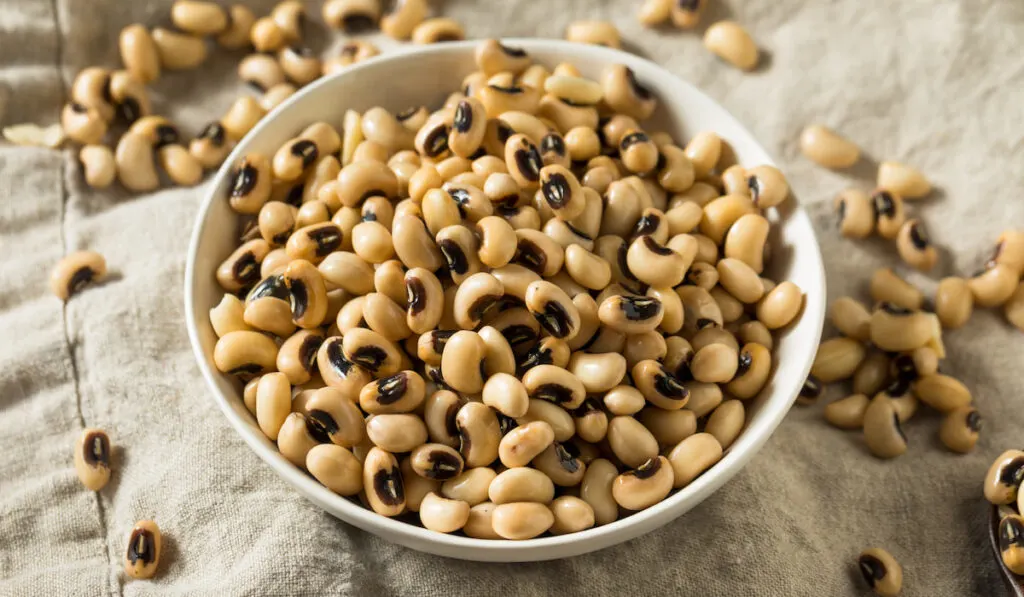 Raw Black Eyed Peas on white bowl 