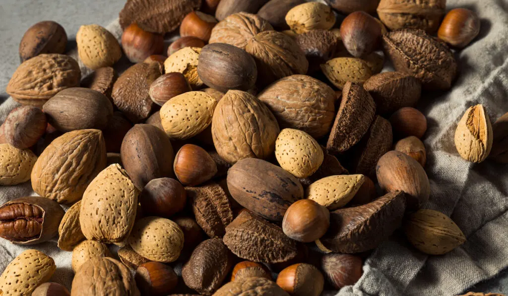 Raw Brown Organic Mixed Nuts