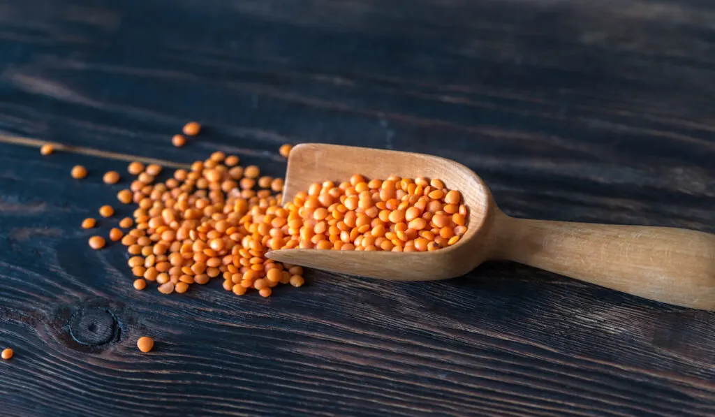 Red lentils in a wooden scoop on black table