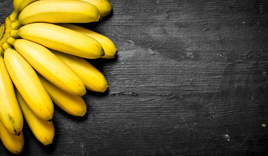 banana on a black background