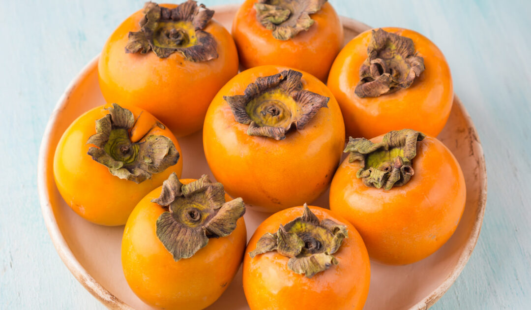 What Fruits Can Pigs Eat? Farmhouse Guide