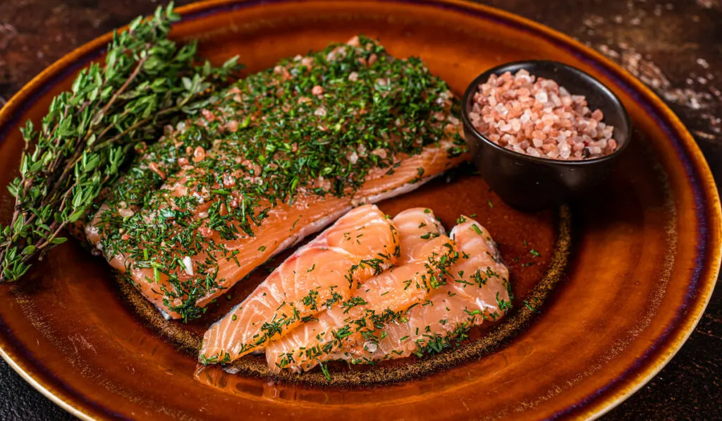 Salmon Gravlax cured with dill and pink salt on rustic plate 