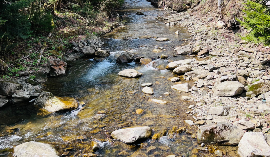 Stream of healthy mineral water