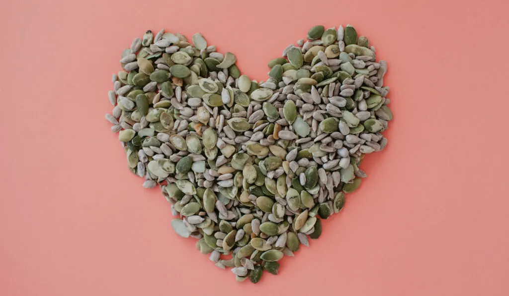 Sunflower and pumpkin seeds heart shape on pink background 