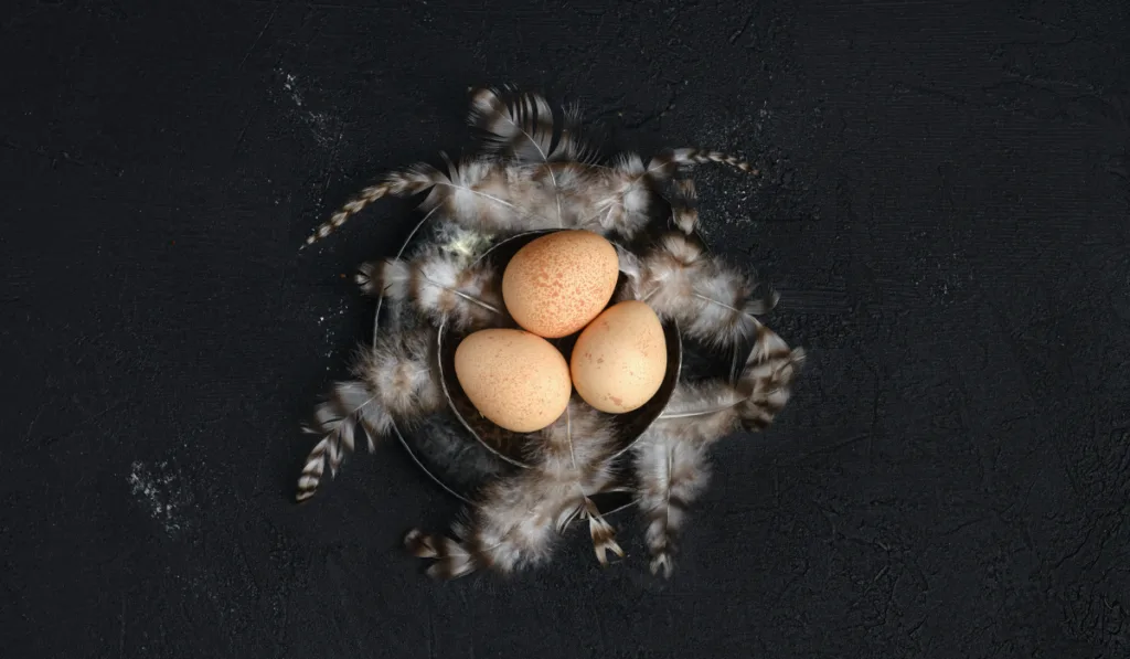 Three guinea fowl eggs in metal bowl.
