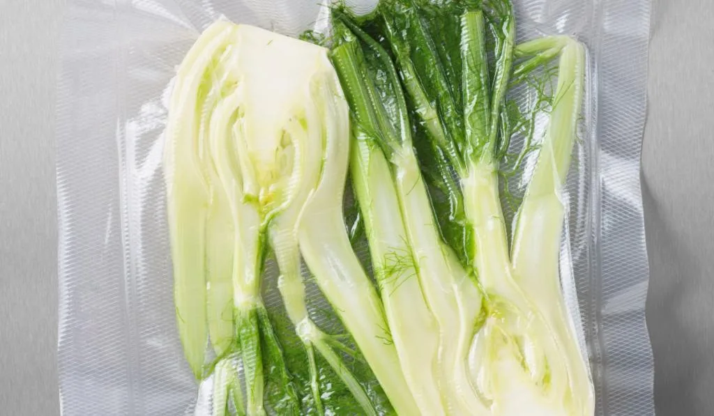 Vacuum sealed fennel
