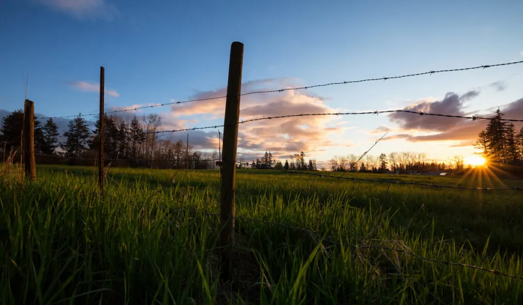 View on the farm field behind the barb wired fence