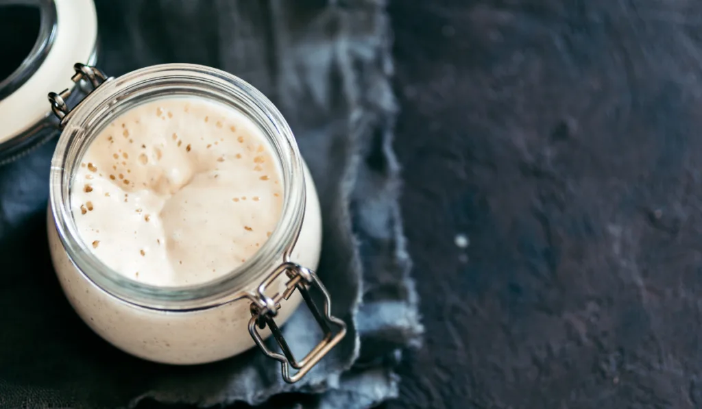 sourdough starter on glass jar top view