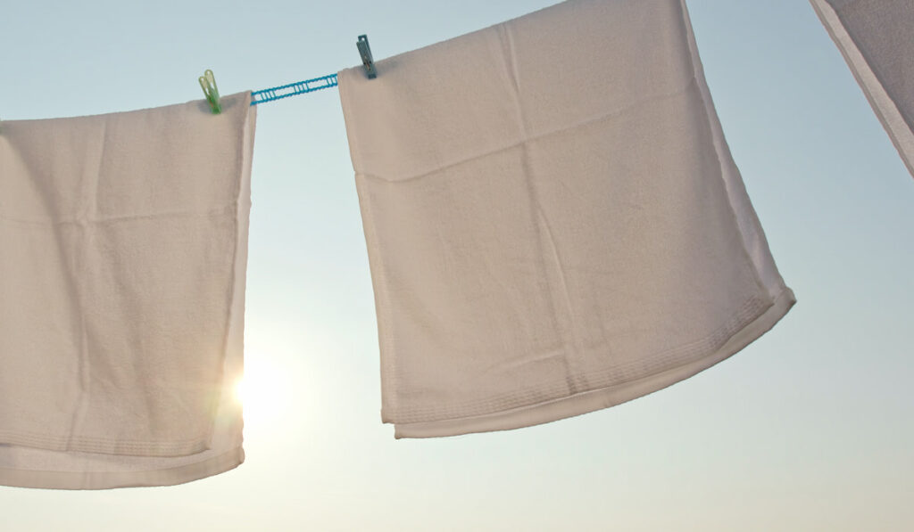 White Towels dry under sunlight