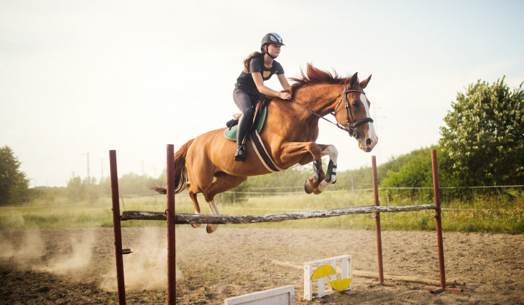 Young female jockey on horse leaping over hurdle 