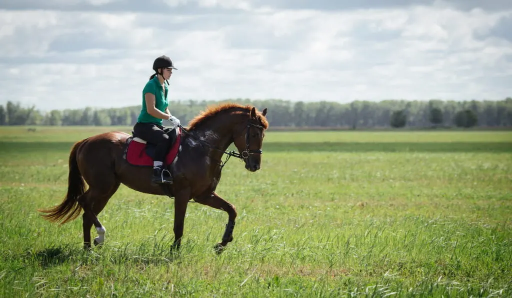 Young woman riding a horse on the green field