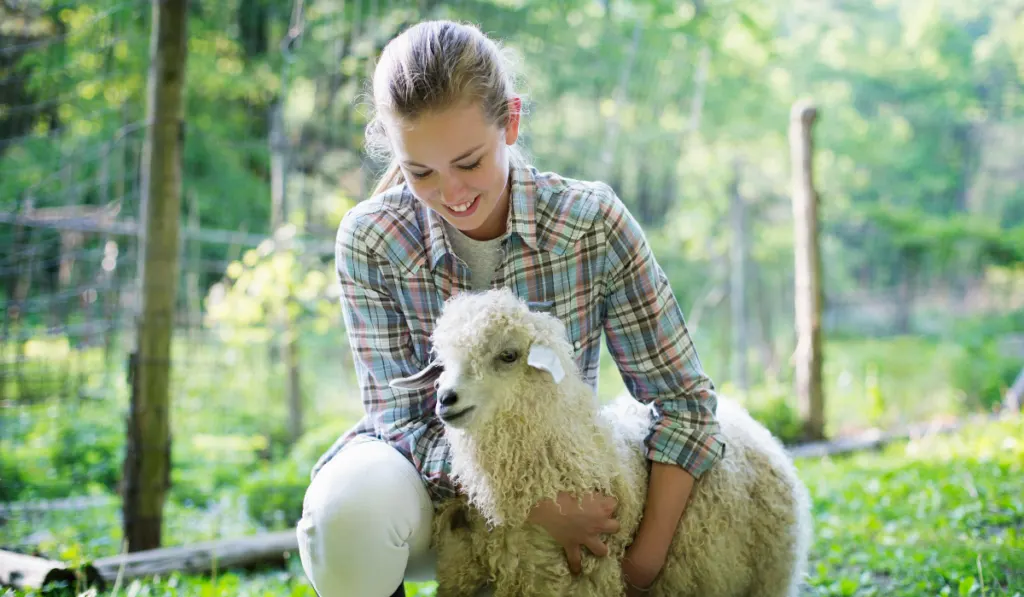 A teenager kneeling and putting her arms around a very curly haired angora goat.