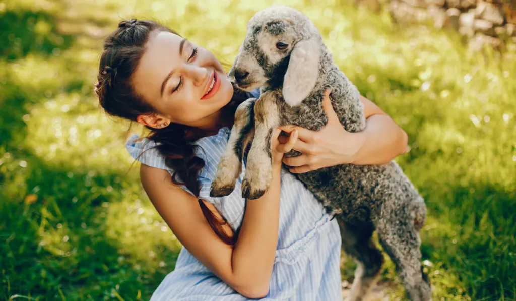 beautiful and cute girl in blue dresses with beautiful hairstyles and make-up sitting in a sunny green garden and playing with a goat