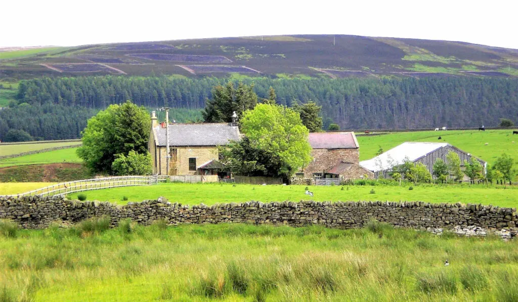 beautiful-scenery-of-farmhouse-and-farmland