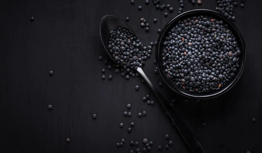 black lentils in black bowl and spoon on black background 