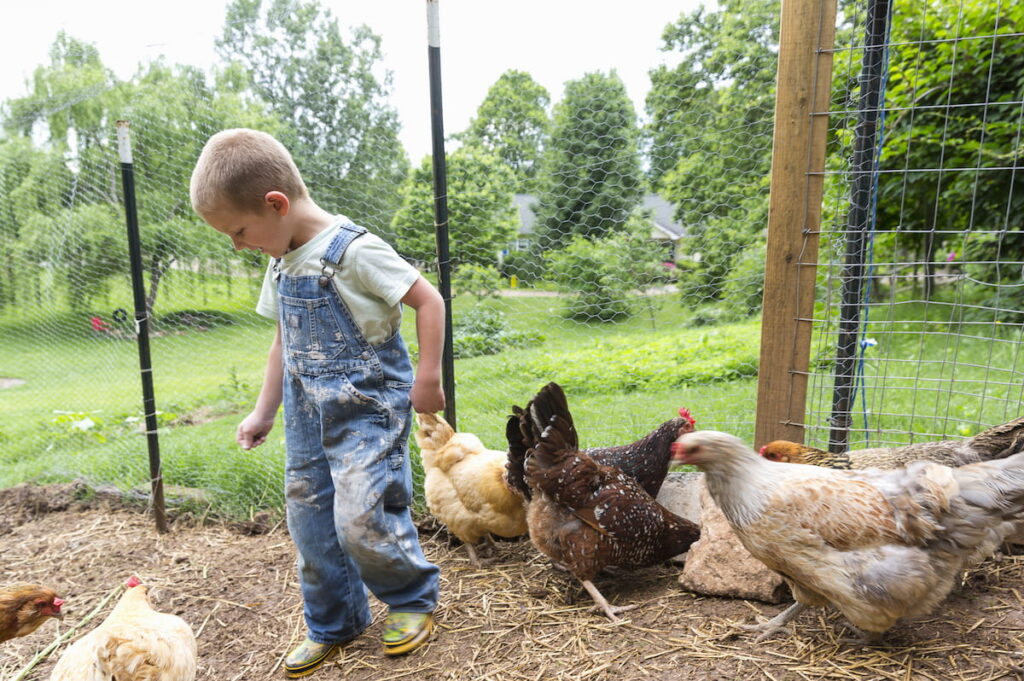 boy in chicken coop with hens
