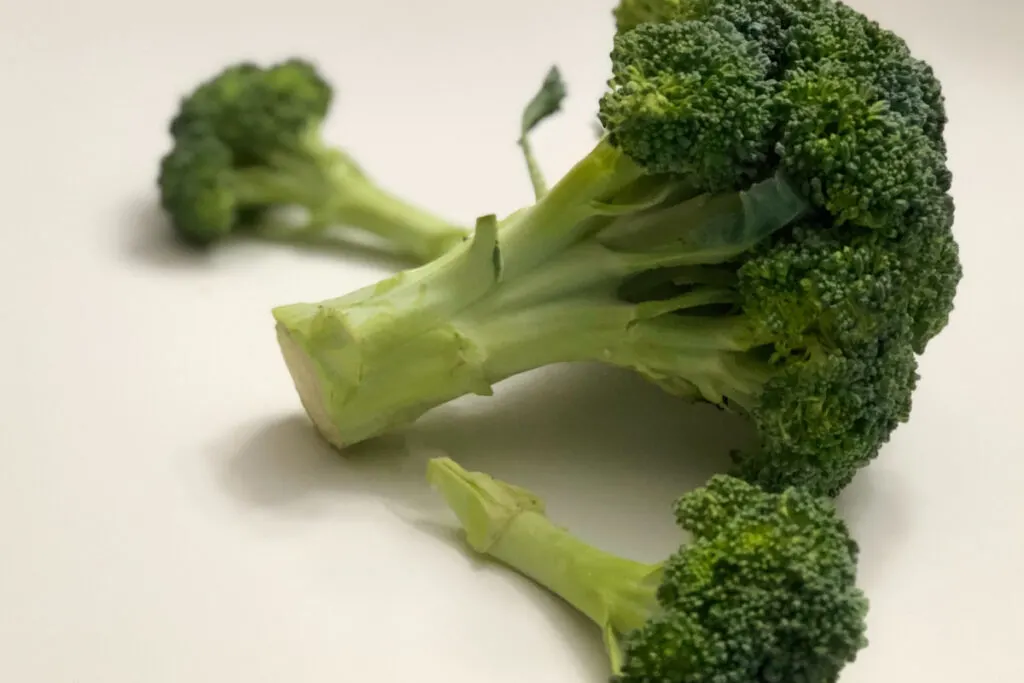 broccoli on white background