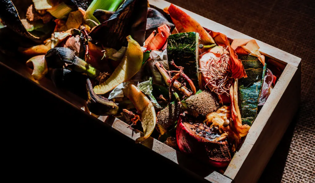 bunch of leftoverfood or food scraps in wooden box