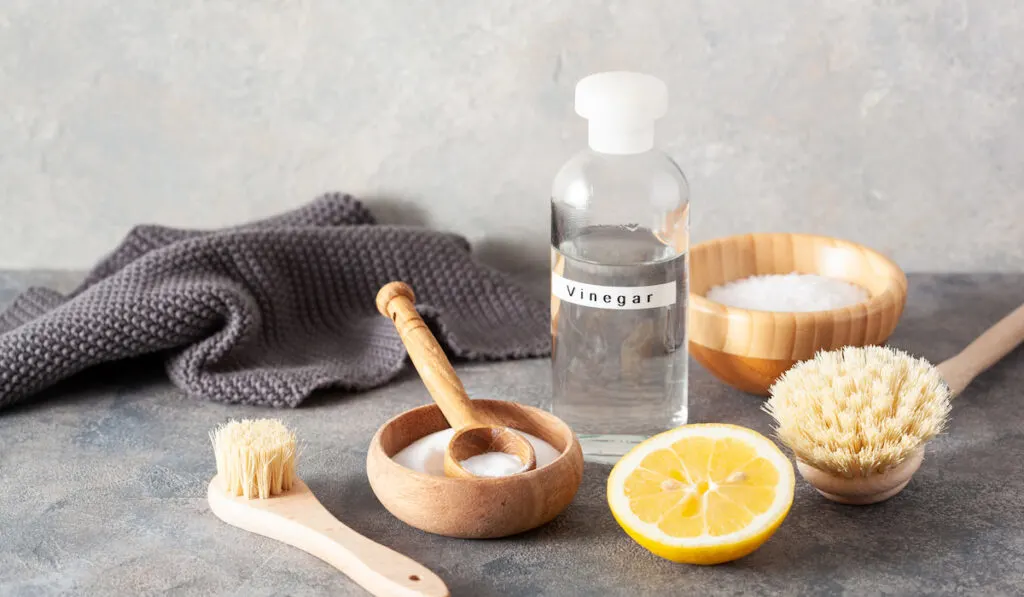 cleaning concept. wooden brushes, lemon, baking soda, white vinegar on gray table  