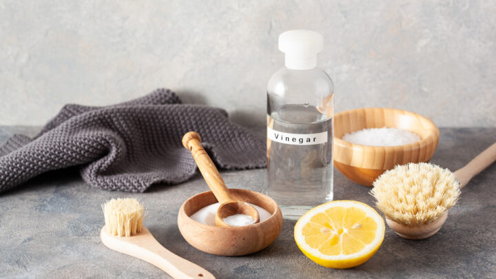 cleaning-concept.-wooden-brushes-lemon-baking-soda-white-vinegar-on-gray-table