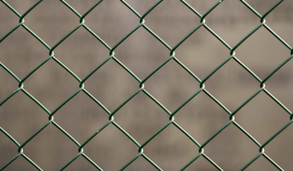 closeup of Chain Link Fencing