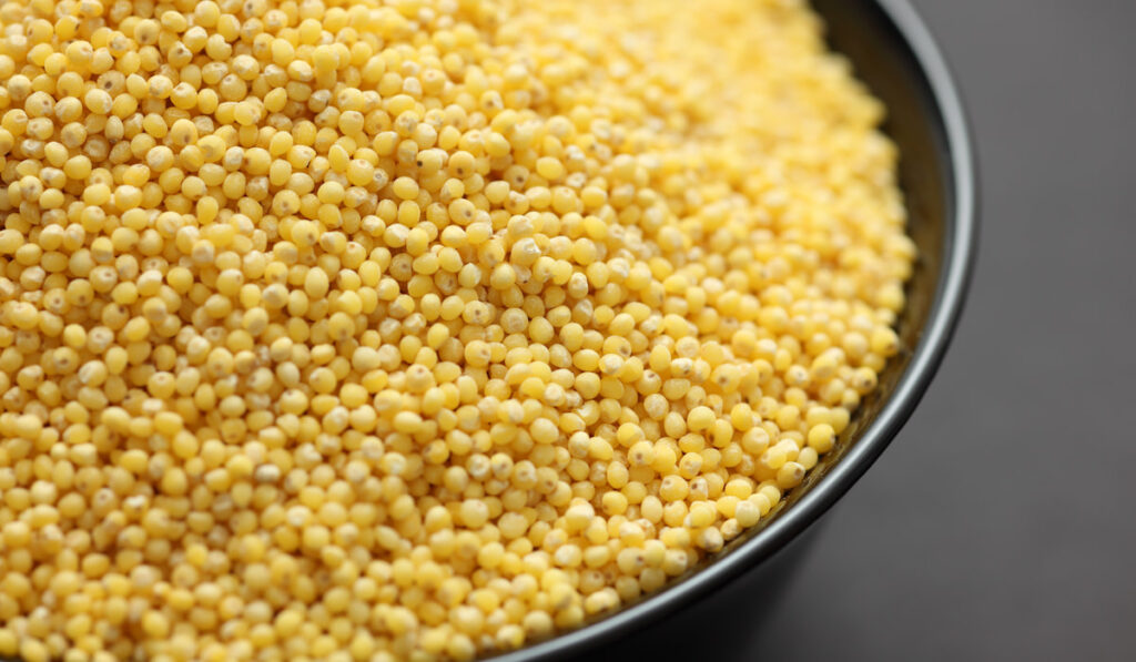 closeup photo of millet in a bowl on black background
