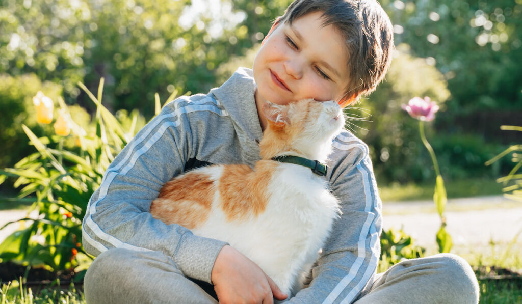 cute kid adopted ginger cat showing kindness emotional support to animal 